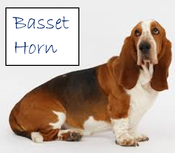 Basset Horn